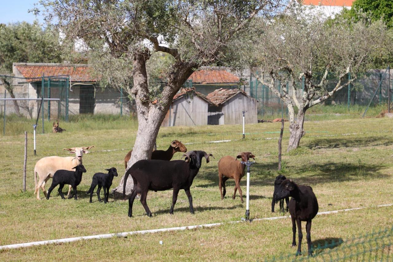 Willa Quinta Dos Patos Pinhanços Zewnętrze zdjęcie